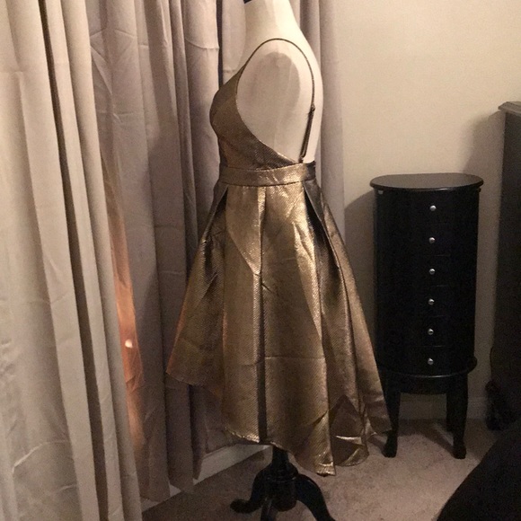 NWOT BRONZE HI LO DRESS - Picture 6 of 6